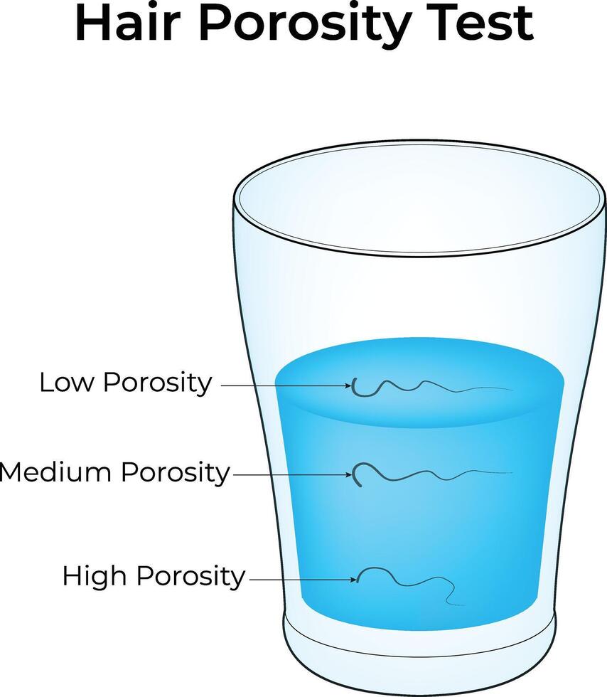 Hair Porosity Test Low Porosity Medium Porosity High Porosity Design Illustration vector