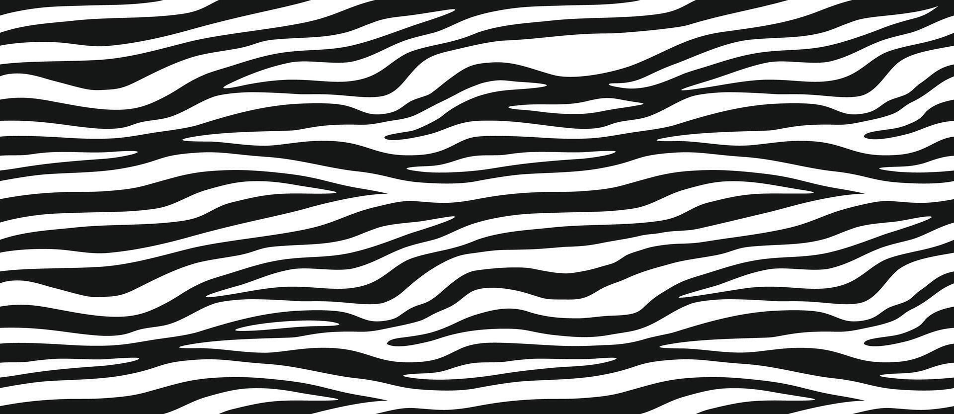 Zebra print. Stripes, animal skin, tiger stripes, abstract pattern, line background. Black and white monochrome seamless texture. vector