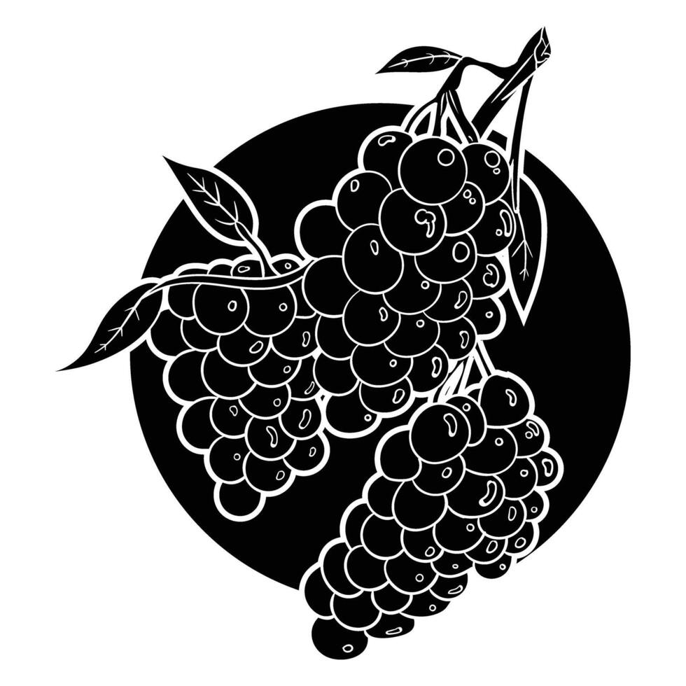 black and white illustration of grapes on a branch vector