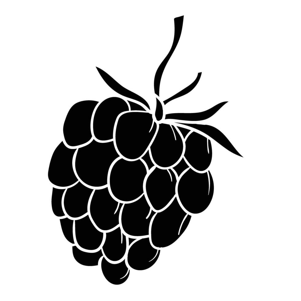 black raspberry fruit icon illustration vector