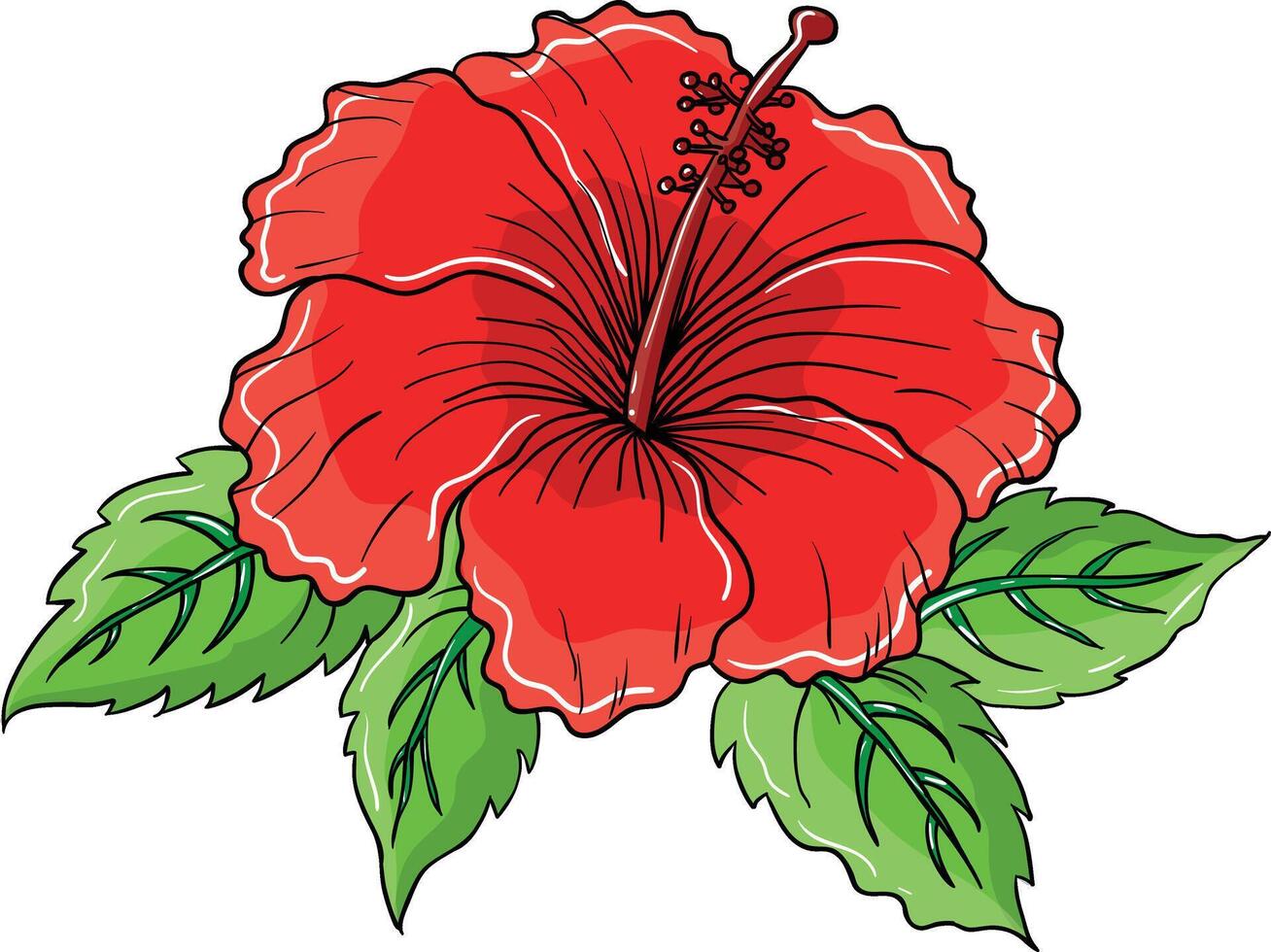 a red hibiscus flower with green leaves vector