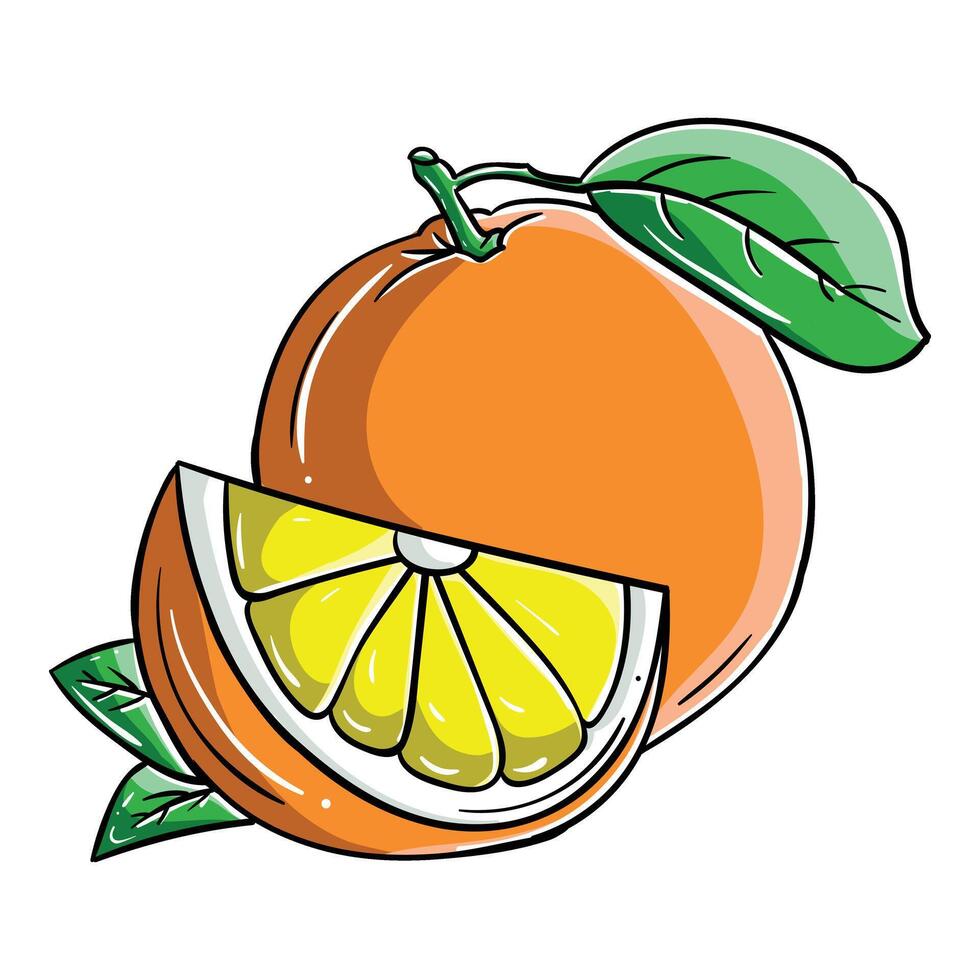 orange in color illustration vector