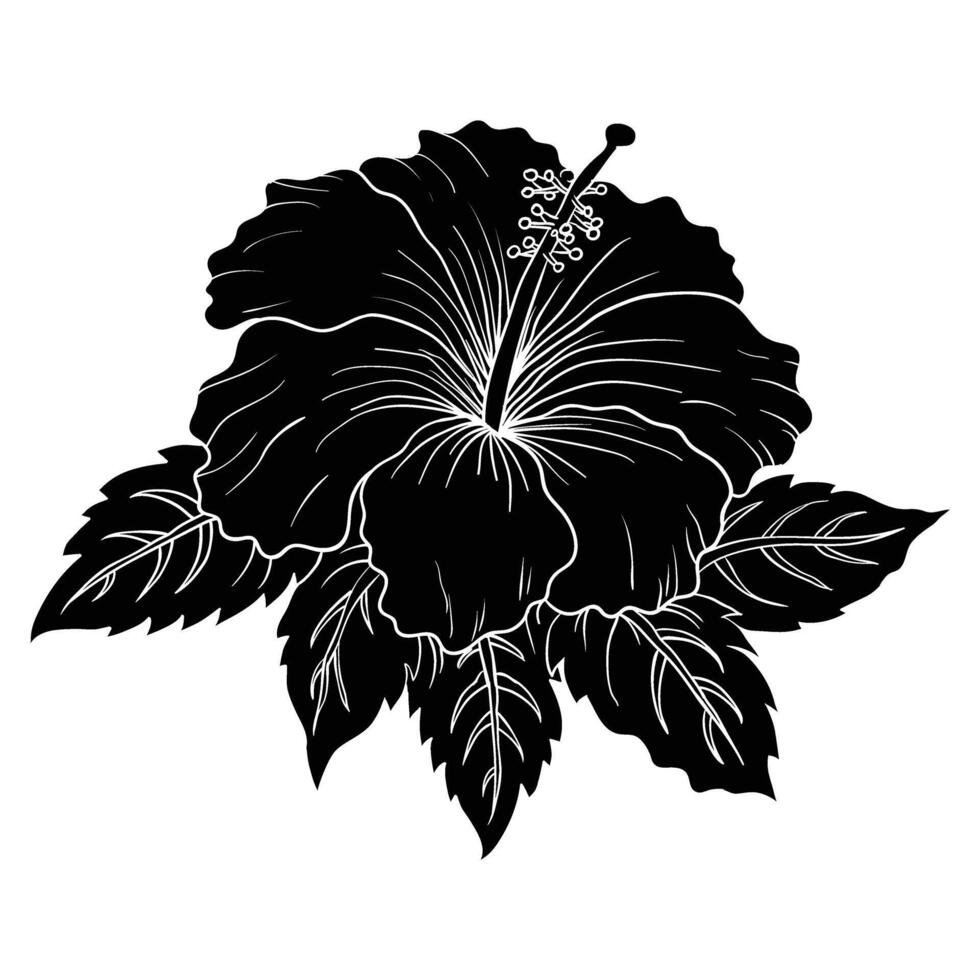 black and white illustration of a hibiscus flower vector