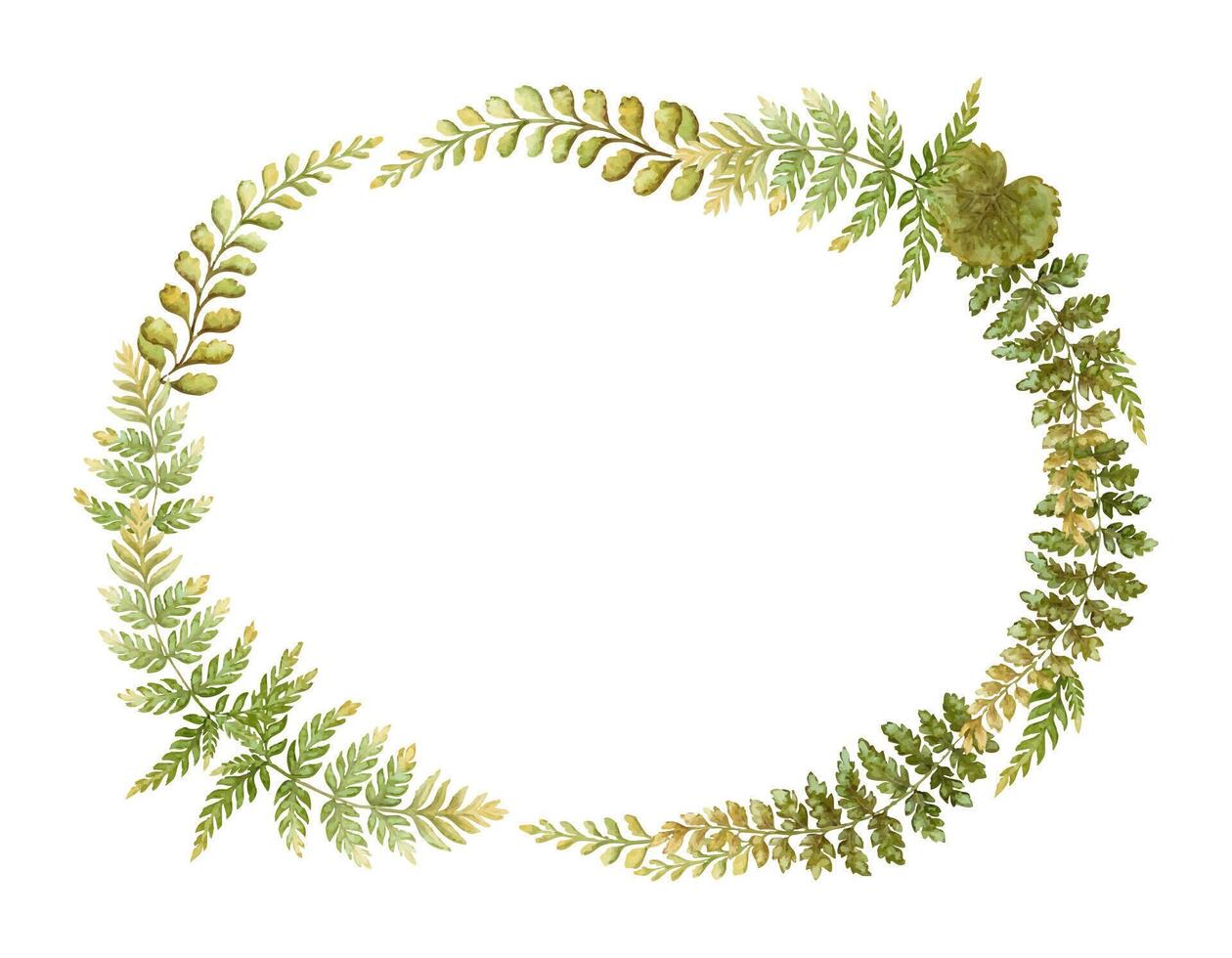 Oblong oval wreath with fern leaves botanical card template in earth tone. Hand drawn watercolor horizontal floral frame. Perfect for the use of ecological material and modern designs. vector