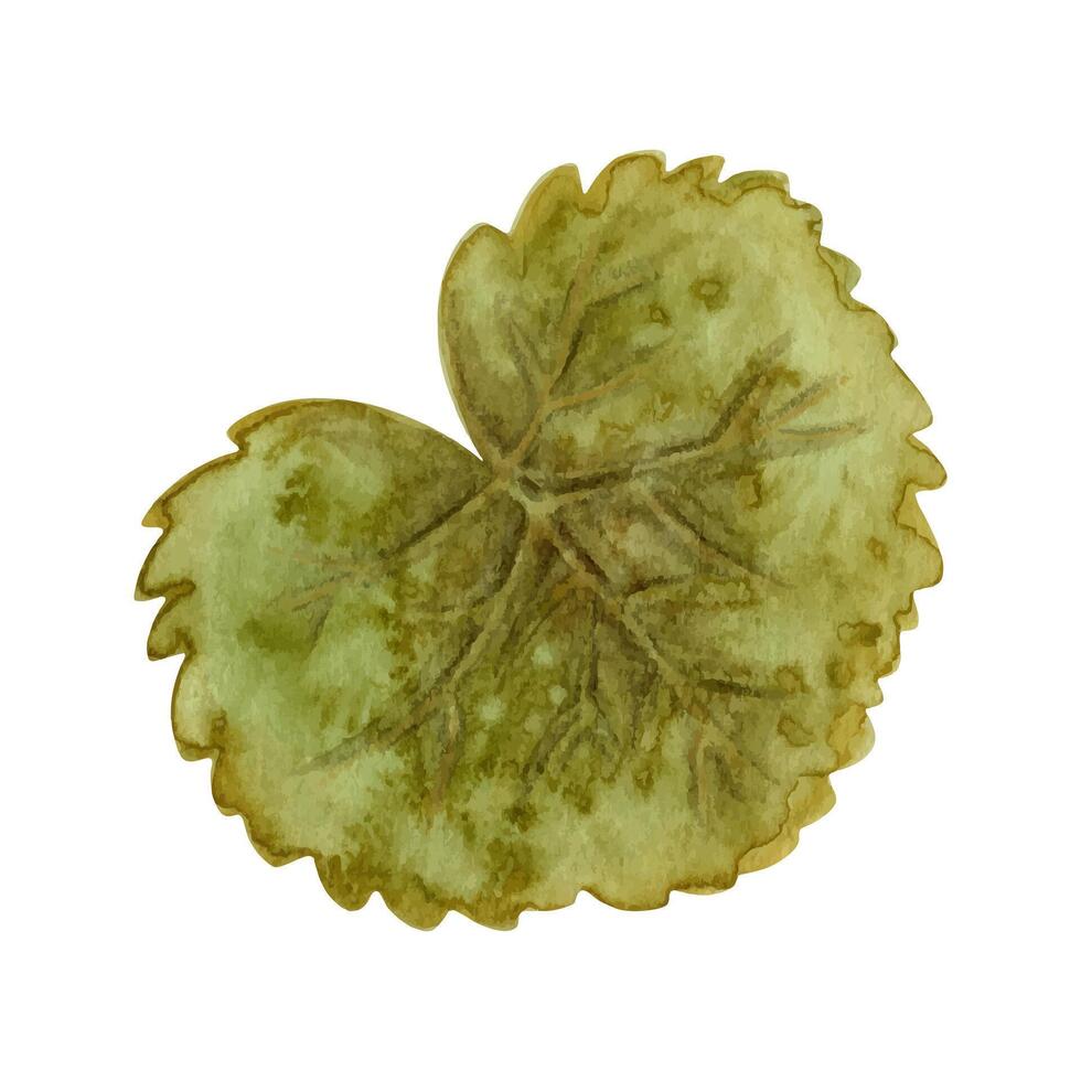 Round shaped leaf textured botanical illustration in earth tone. Hand drawn watercolor floral element of prehistoric plant. Perfect for the use of ecological material and sustainable designs. vector