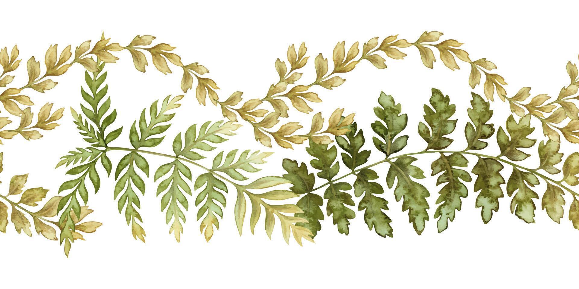 Fern leaf elegant seamless border in the earth green tone. Hand drawn watercolor botanical element with textured foliage. Perfect for the use of ecological material and sustainable designs. vector