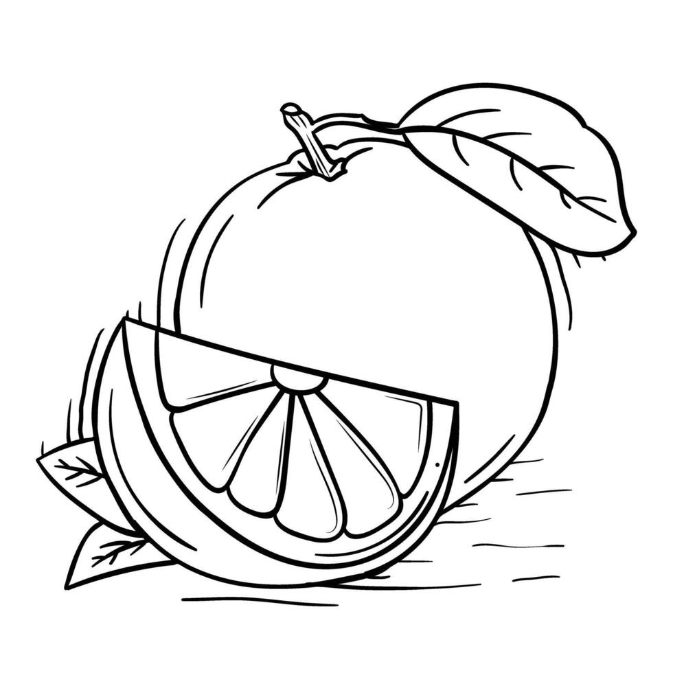 orange fruit with leaf and slice illustration vector