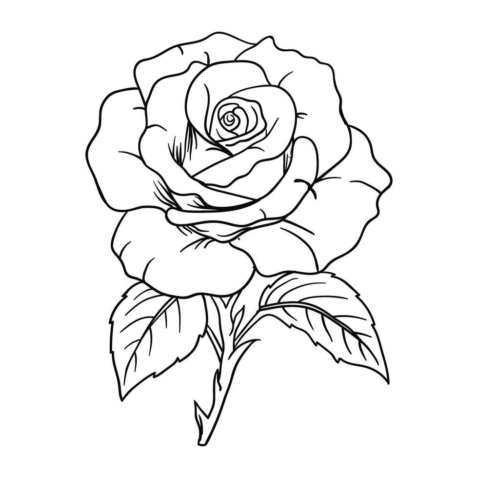 a rose is drawn in black and white on a white background vector