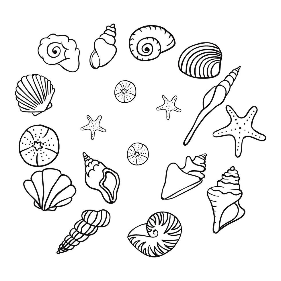 coloring page with shells and starfish vector