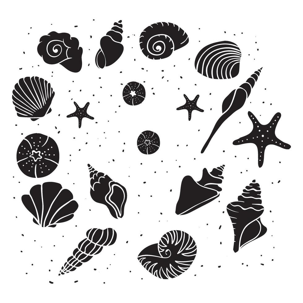 sea shells and starfish on a white background vector