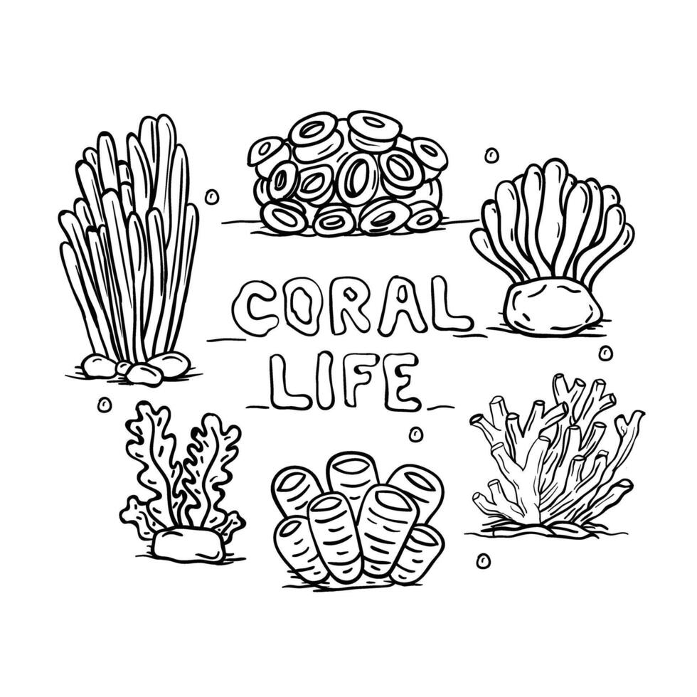 coral life coloring page vector