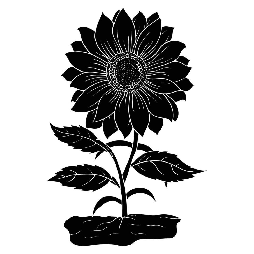 a black and white illustration of a sunflower vector