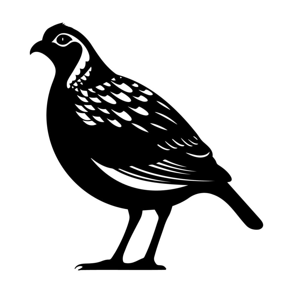 Quail black silhouette illustration. vector