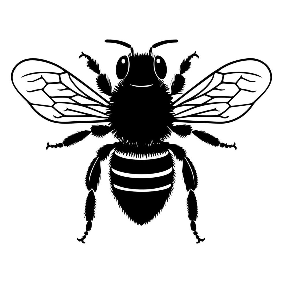 Detailed illustration of a bee showcasing its wings. Bee black silhouette illustration. vector