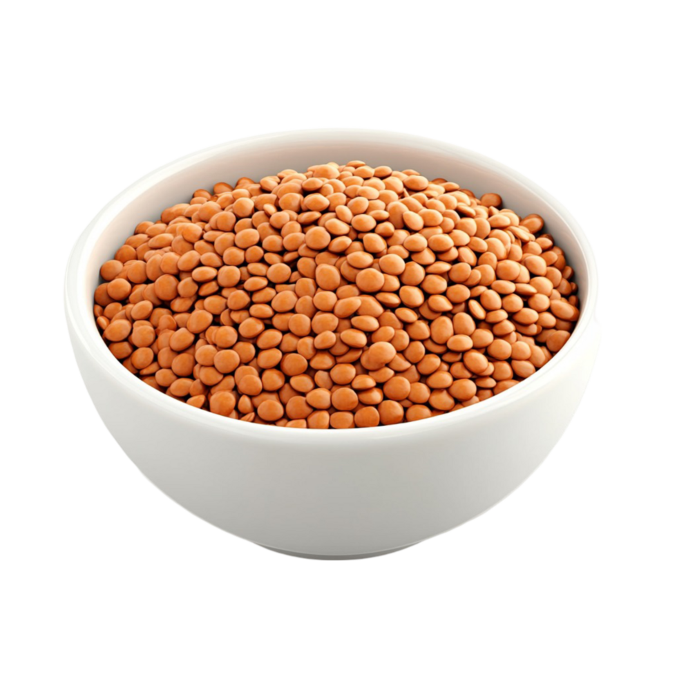Raw Brown Lentils in a Bowl png