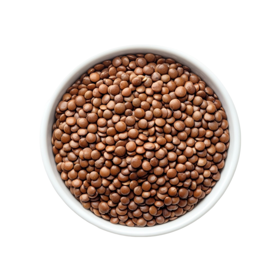 Fresh Brown Lentils in a Bowl png