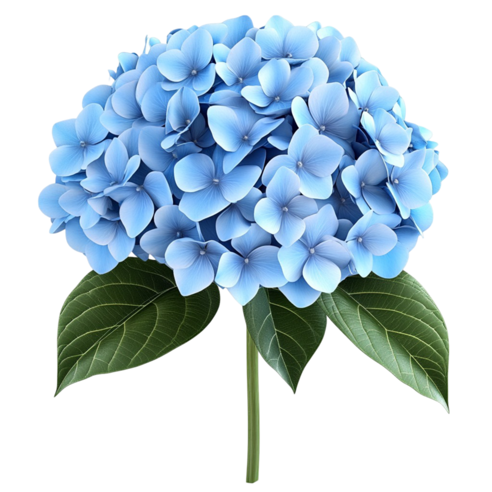A blue flower with leaves on it png