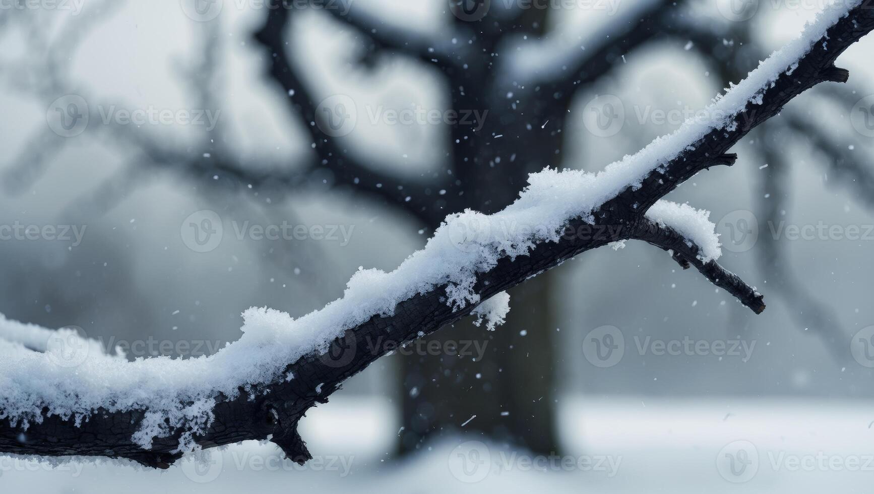 snow covered tree branch creates serene winter landscape photo