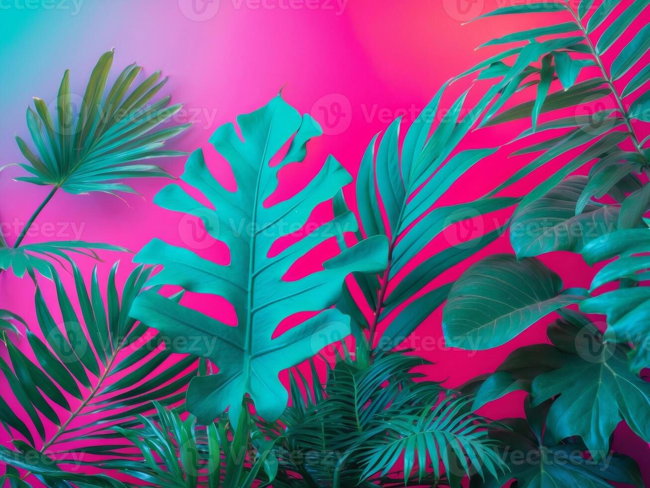 Trendy turquoise colored close up of various tropical leaves on bright pink and violet background photo