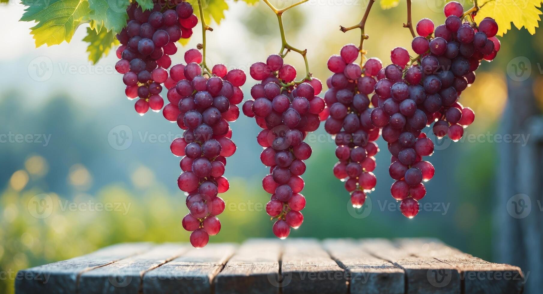 Red Grapes Hanging Over Wooden Table Outdoors photo