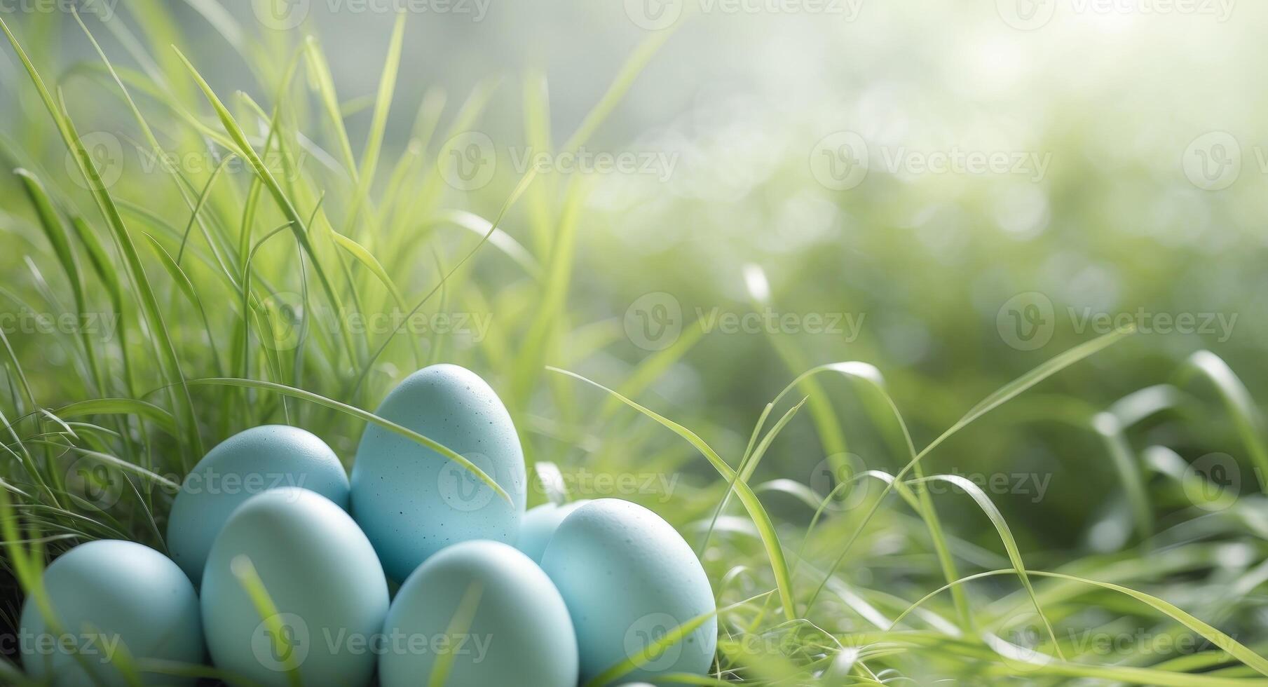 Easter eggs in the grass photo