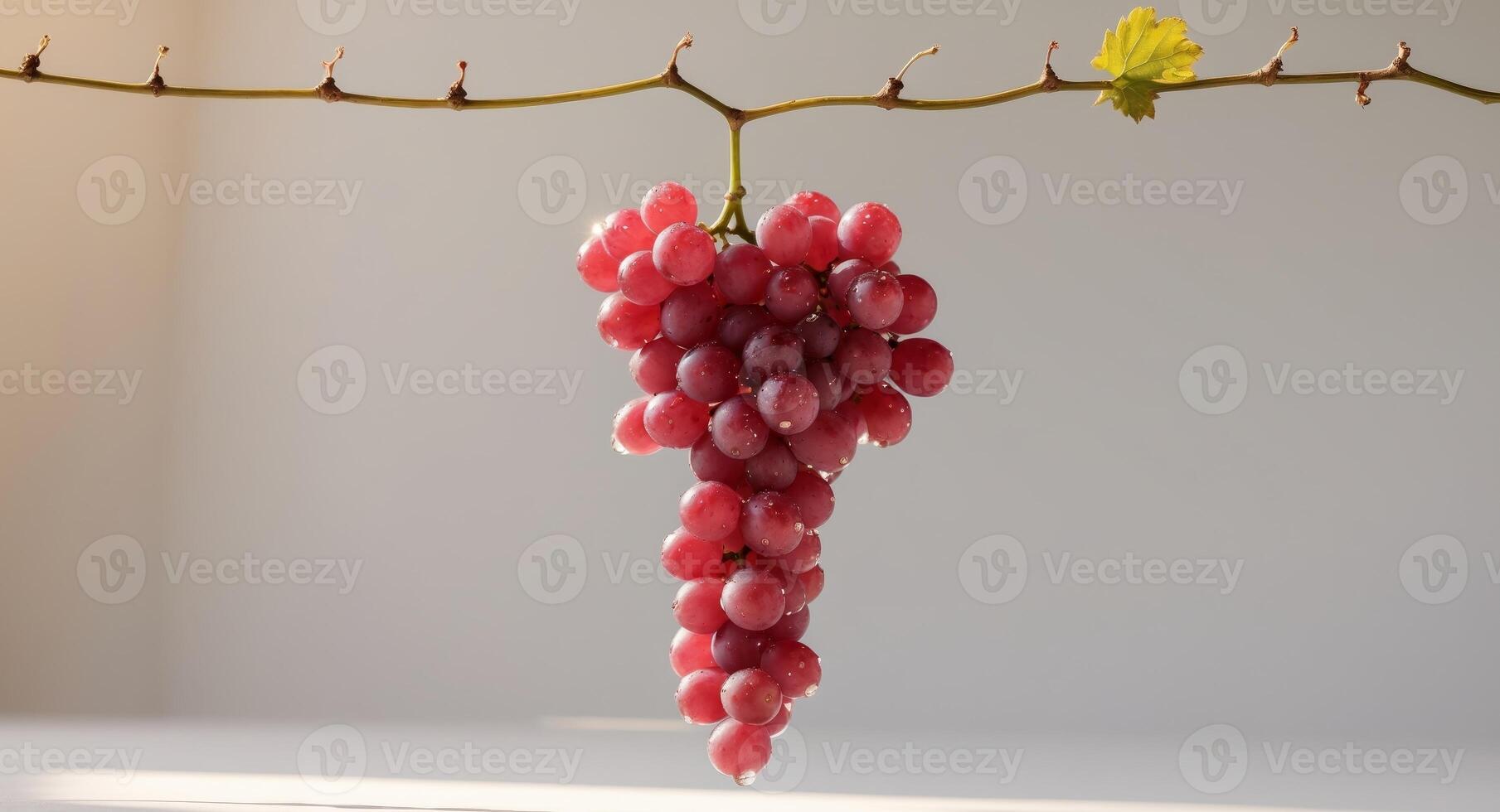 A bunch of red grapes hanging from a vine photo