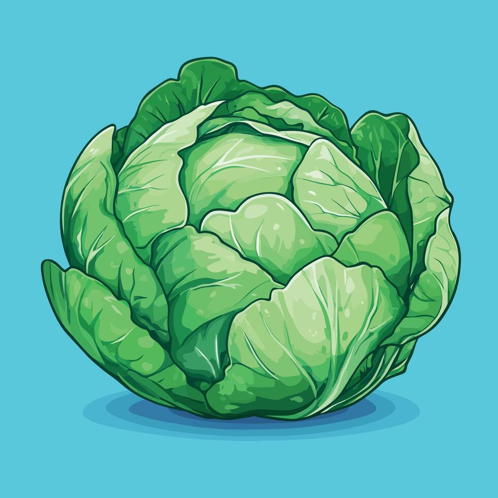 Cute Cabbage Vegetable Cartoon Illustration vector