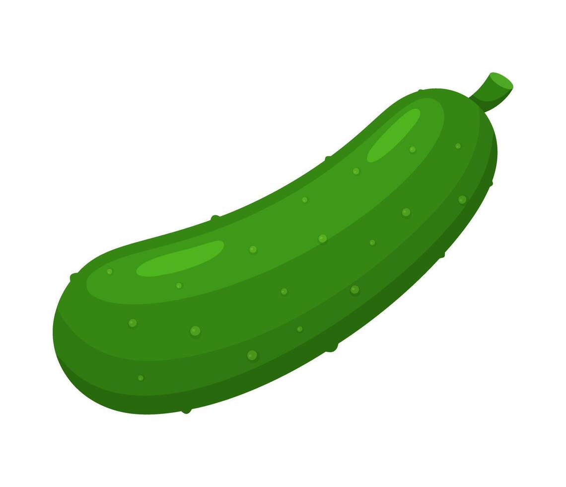 Cucumber vegetable for cooking meals. Hand drawn Trendy flat style isolated bright element for design. illustration vector