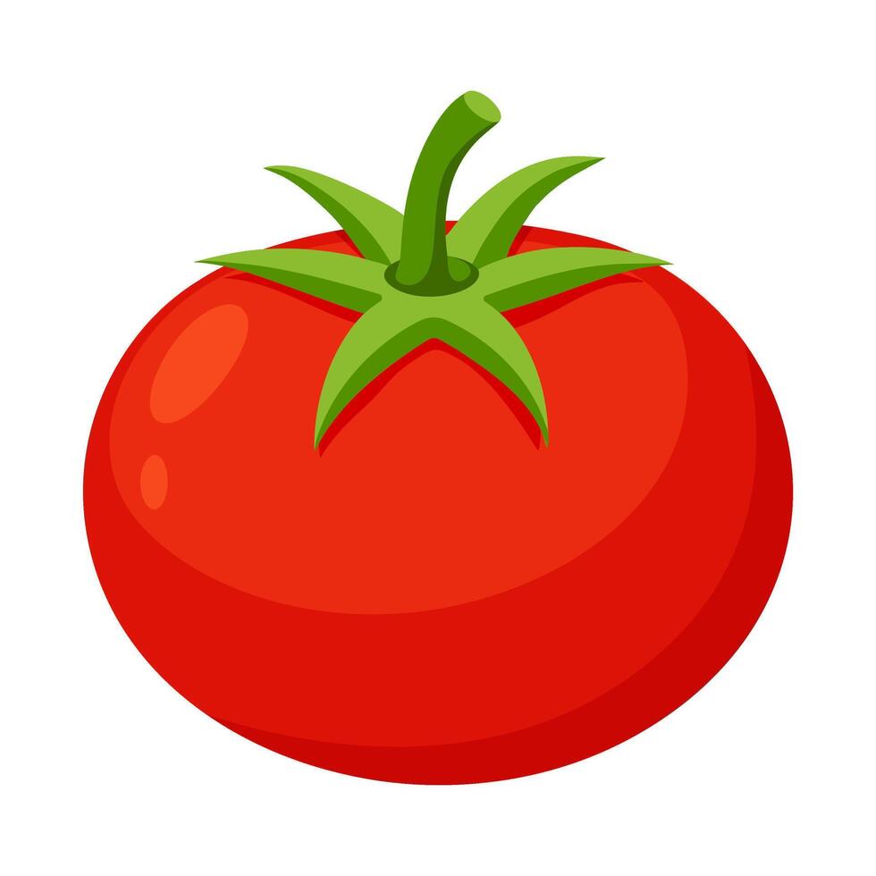 Tomato vegetable for cooking meals. Hand drawn Trendy flat style isolated A bright element isolated for design. illustration vector