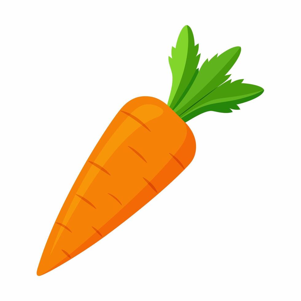 Carrot vegetable for cooking meals. A bright element. Hand drawn Trendy flat style isolated for design. illustration vector