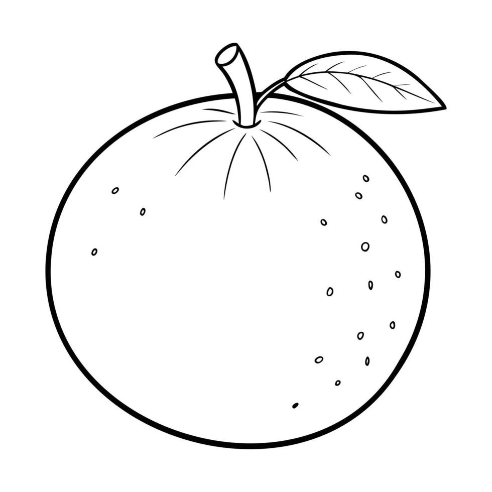 Simple black and white line art of a grapefruit with a stem and a leaf vector