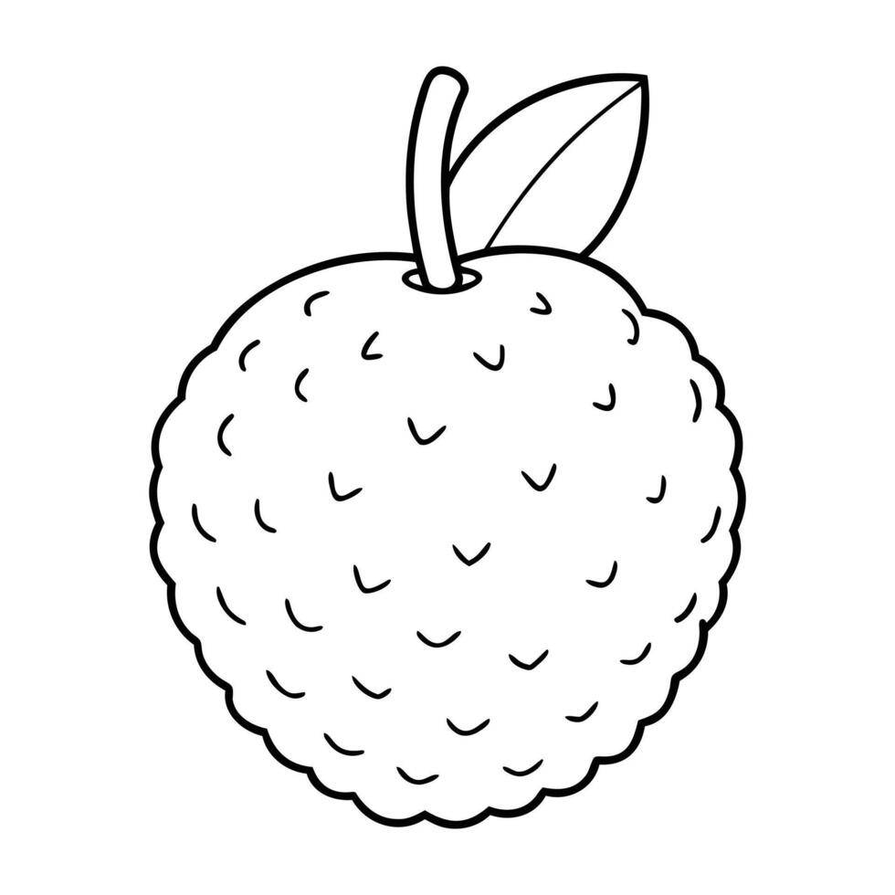 Black and white outline illustration of a lychee fruit vector