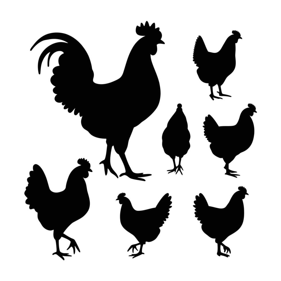 Chicken and Rooster Silhouette Set for Farm-Themed Designs vector