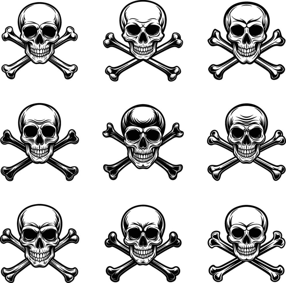 a skull crossbones illustration on a white background. vector