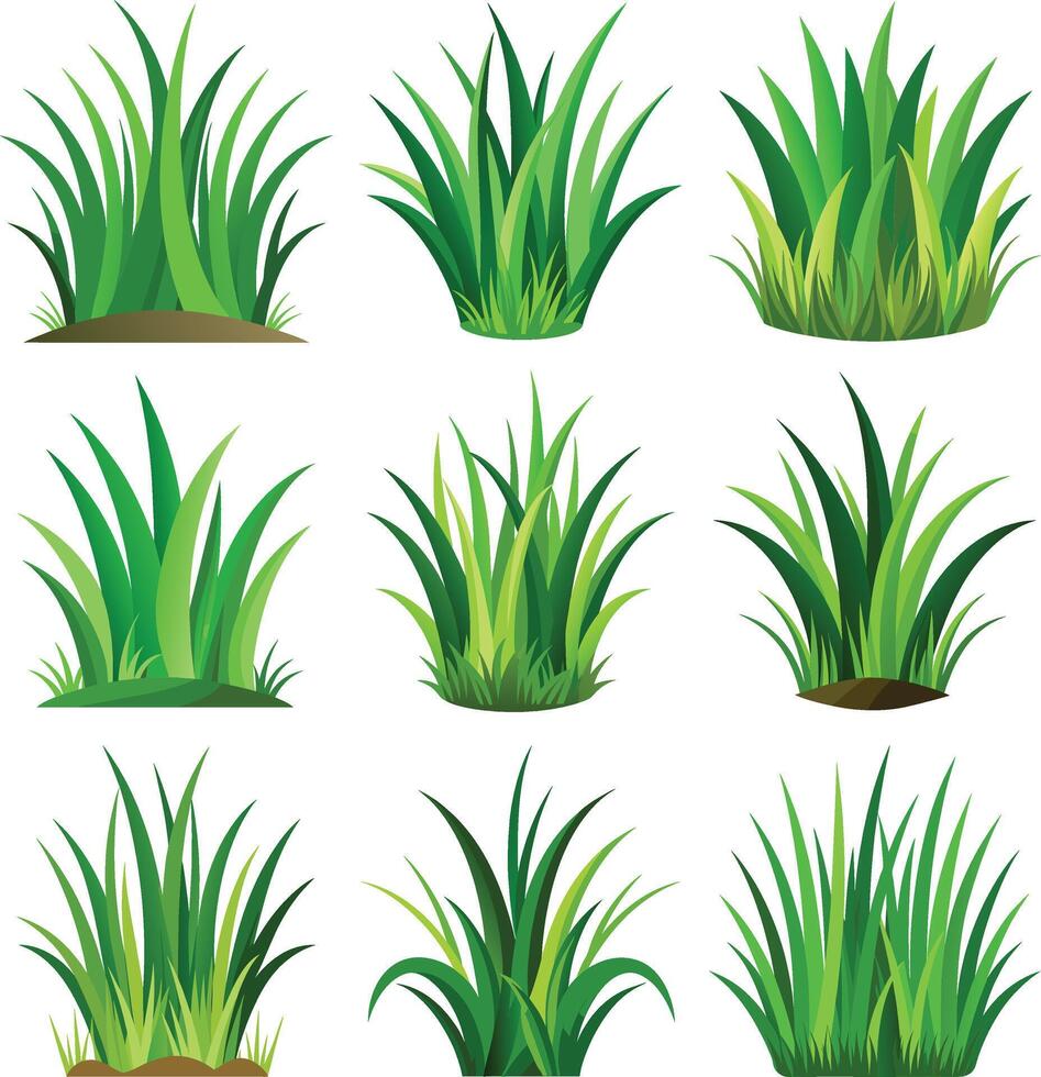 Grass icon set with white background. vector