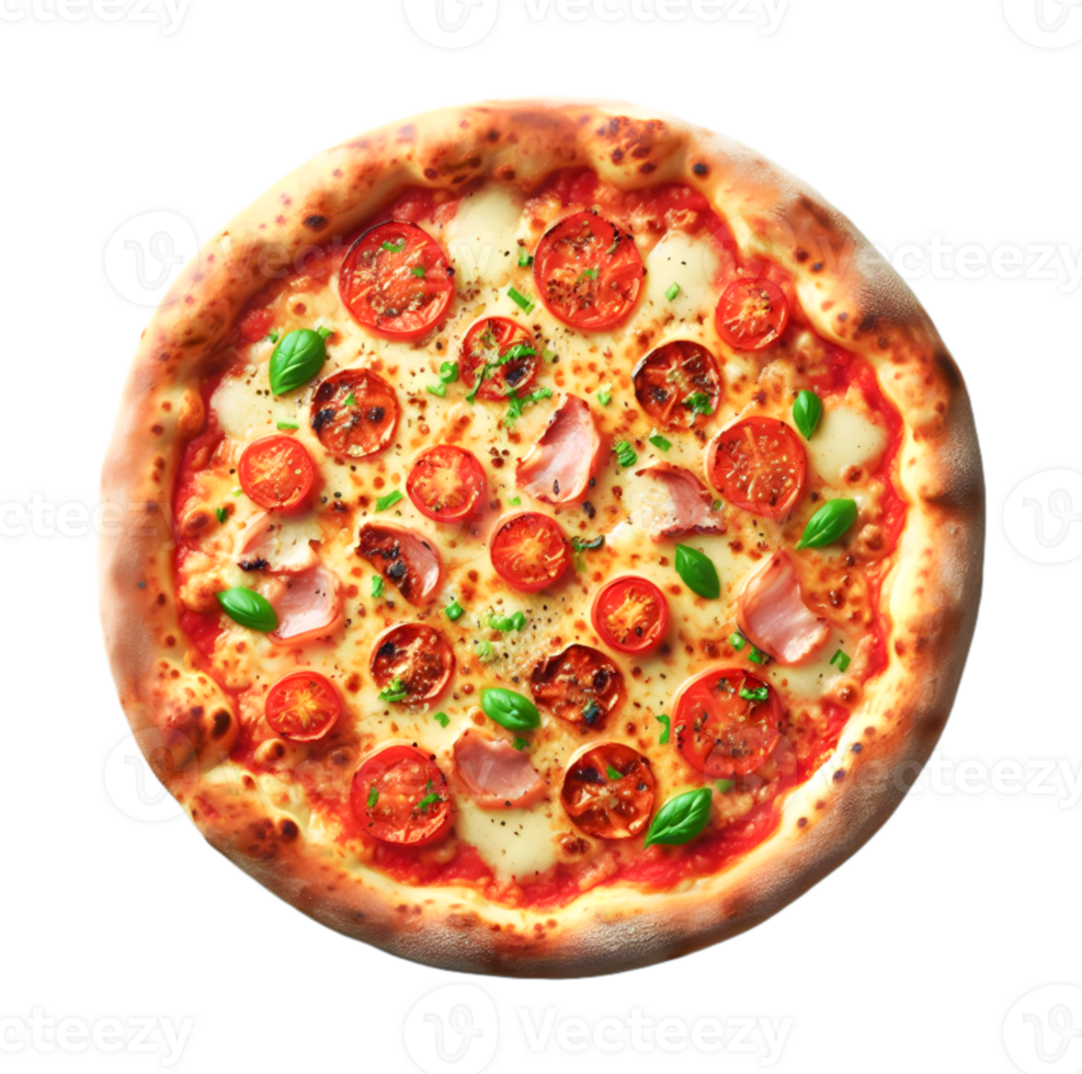 Freshly baked pizza close up png