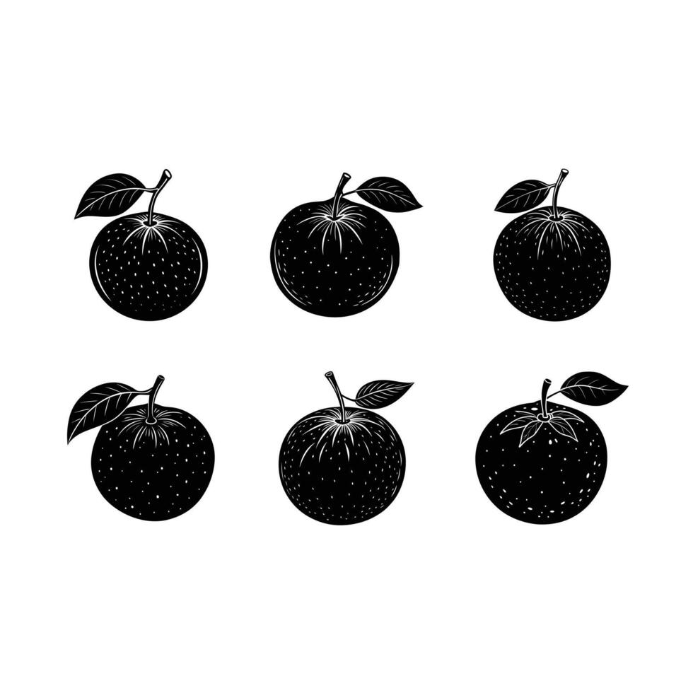 Mandarin Orange and Linocut Silhouette Design vector