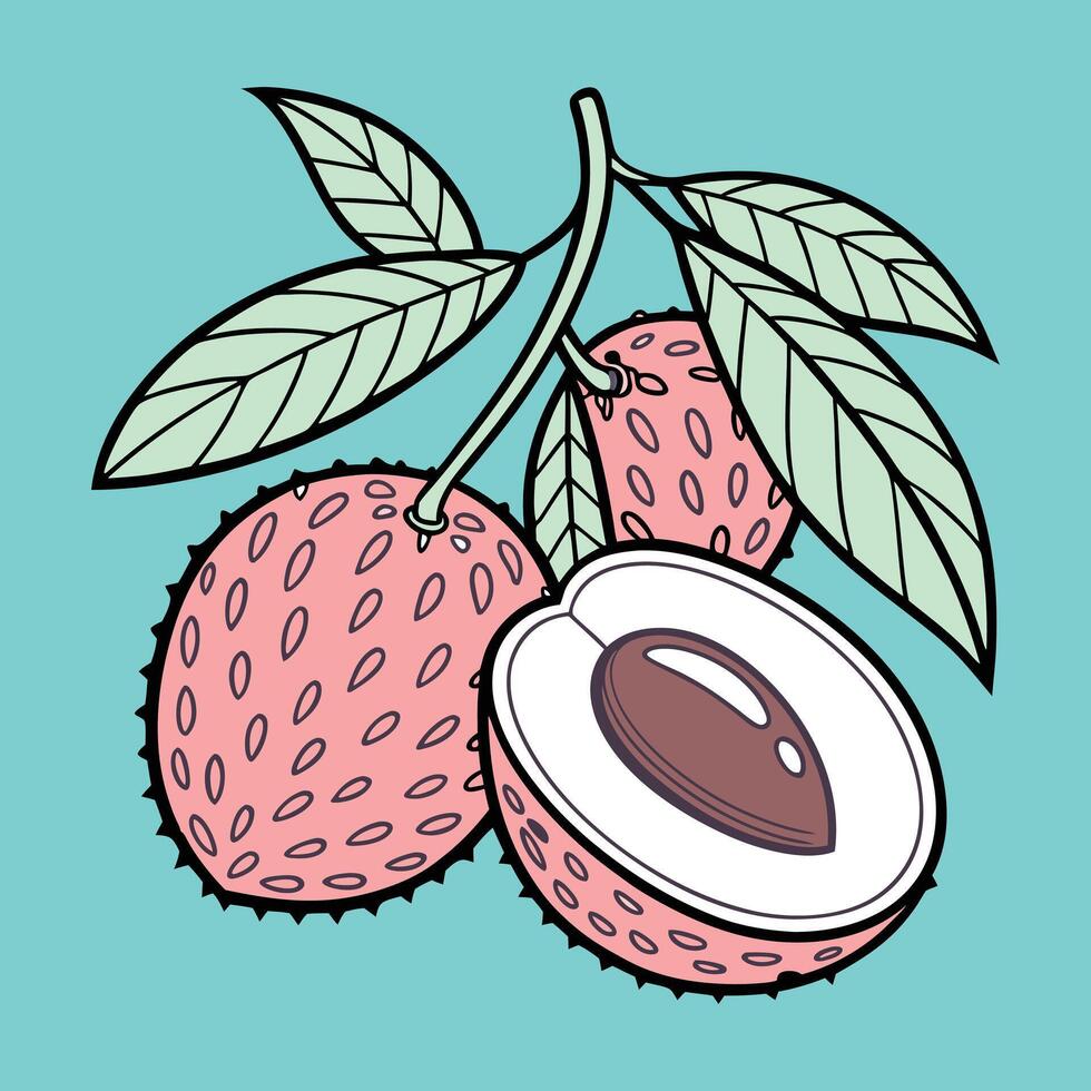 Doodled Lychee Tropical Fruit with Playful Leaves vector