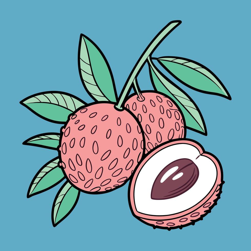 Hand Drawn Lychee Playful Doodle with Leaves vector