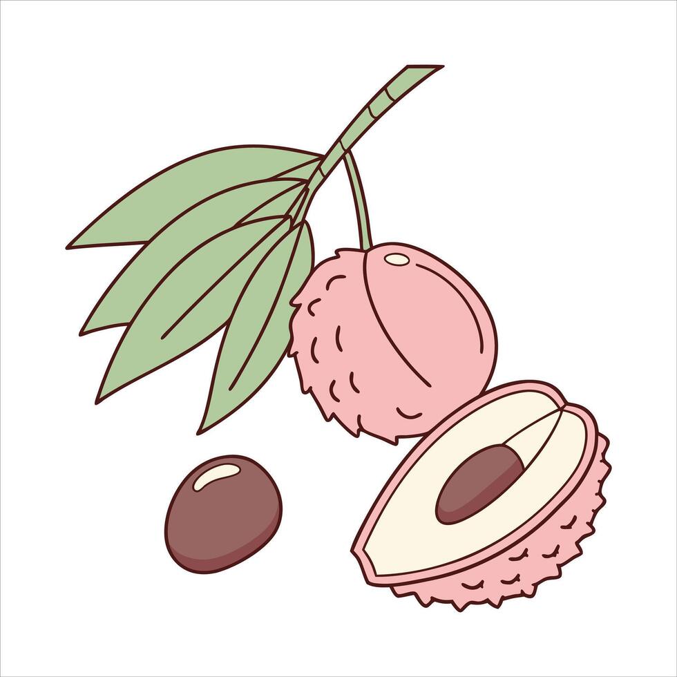 The Lychee Essence Bold and Bright vector