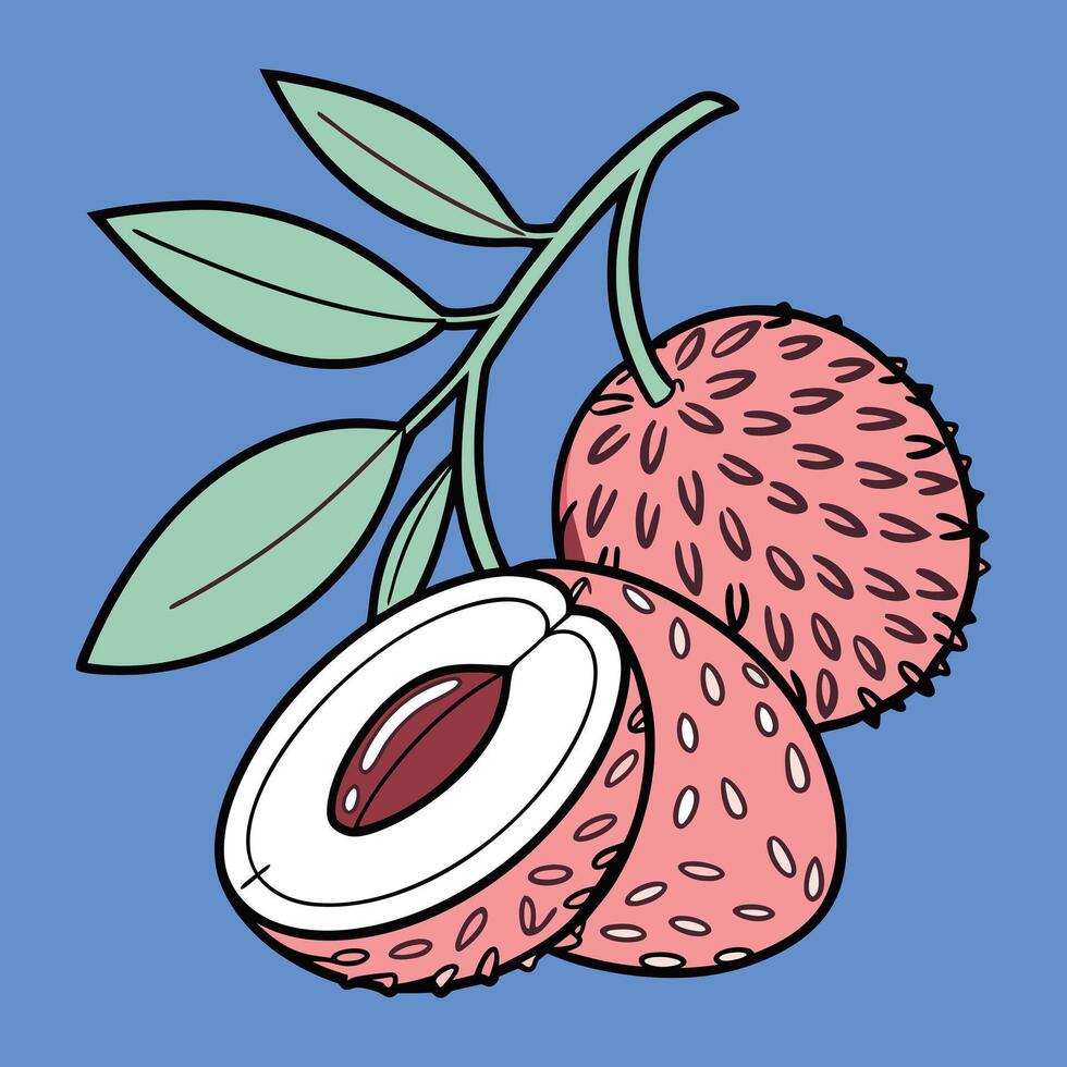 Whimsical Lychee Doodle Illustration with Leaves vector