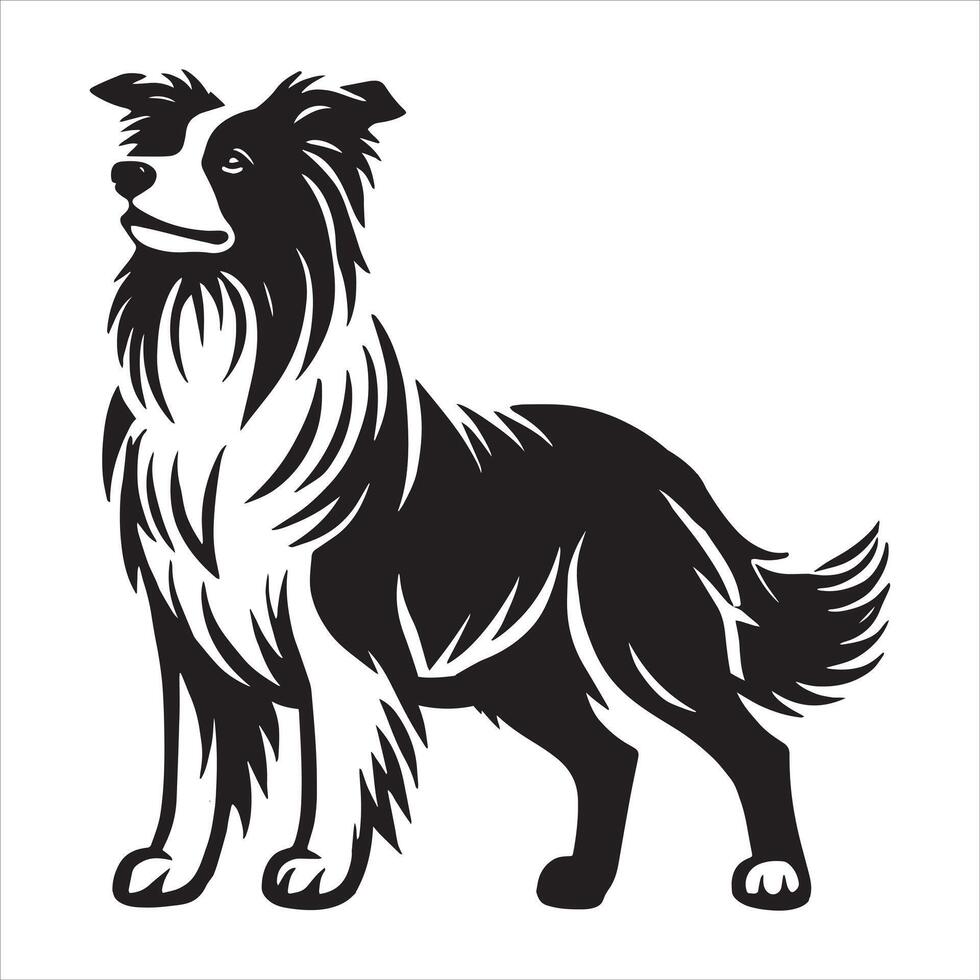 A Day in the Life of a Border Collie vector