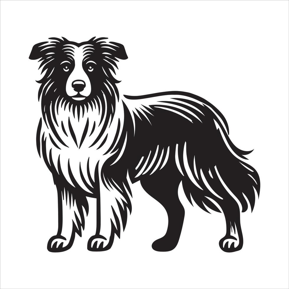 Border Collie standing dog vector