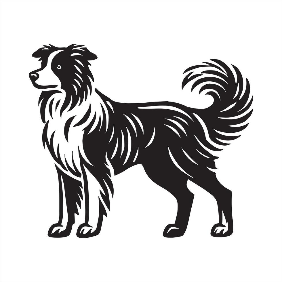 Border Collie Traits Why They re More Than Just a Dog vector