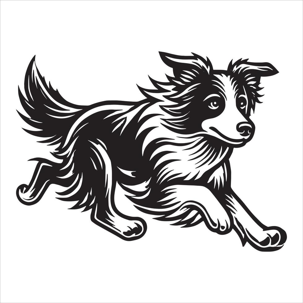 Border Collies in the Spotlight vector