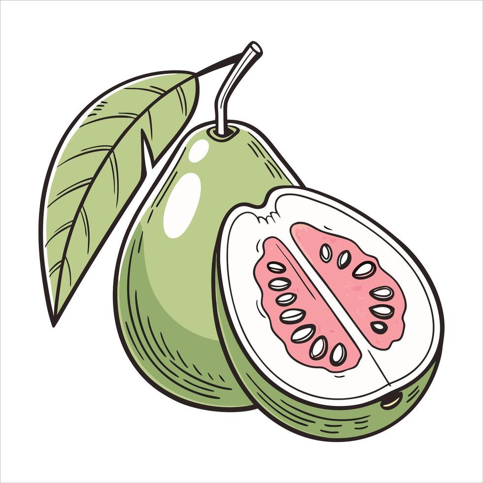 Ripe and Ready Guava in Vibrant Detail vector
