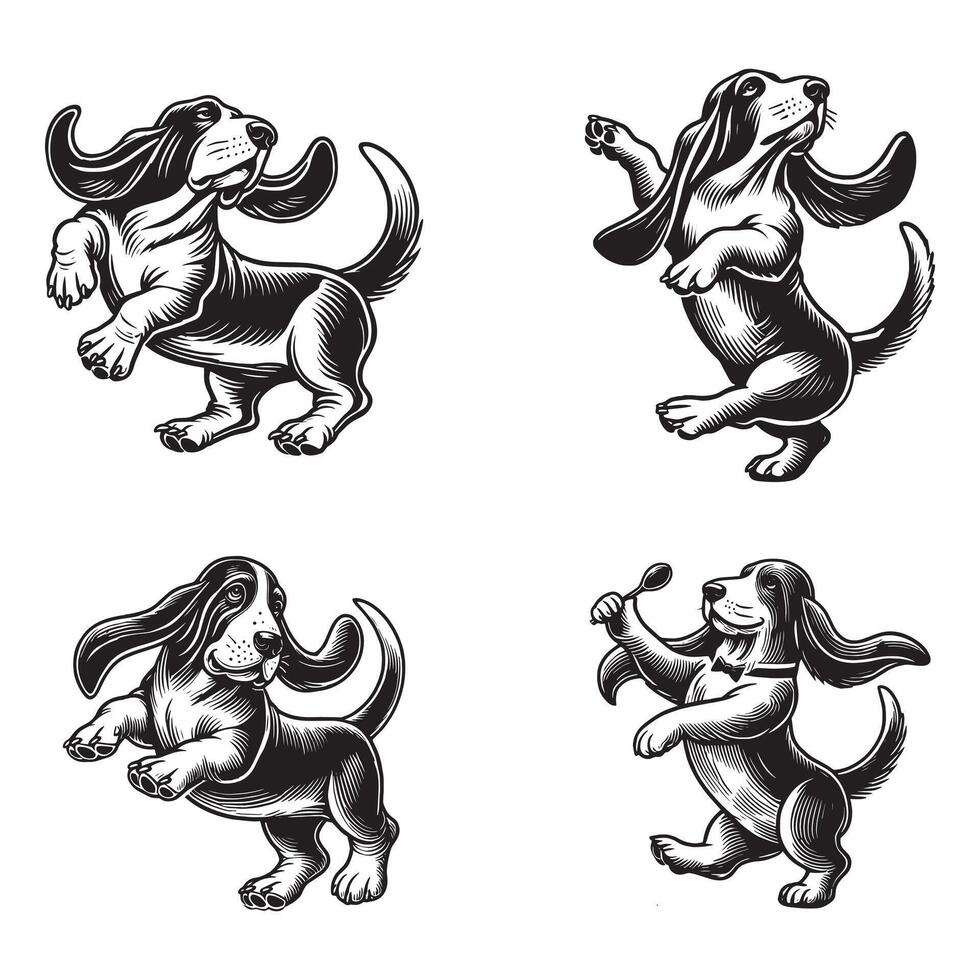 Basset Hound bundle dancing dog vector