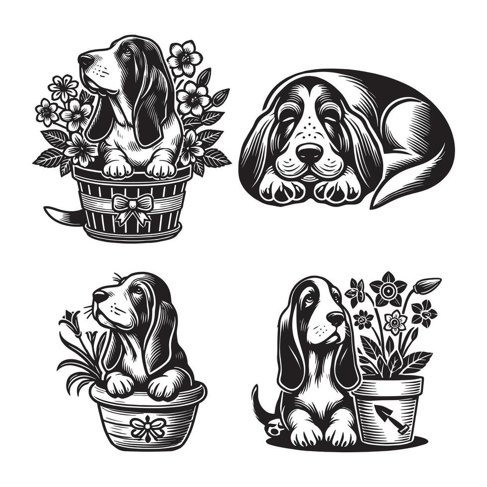 Basset Hound bundle Pot Flower dog design vector