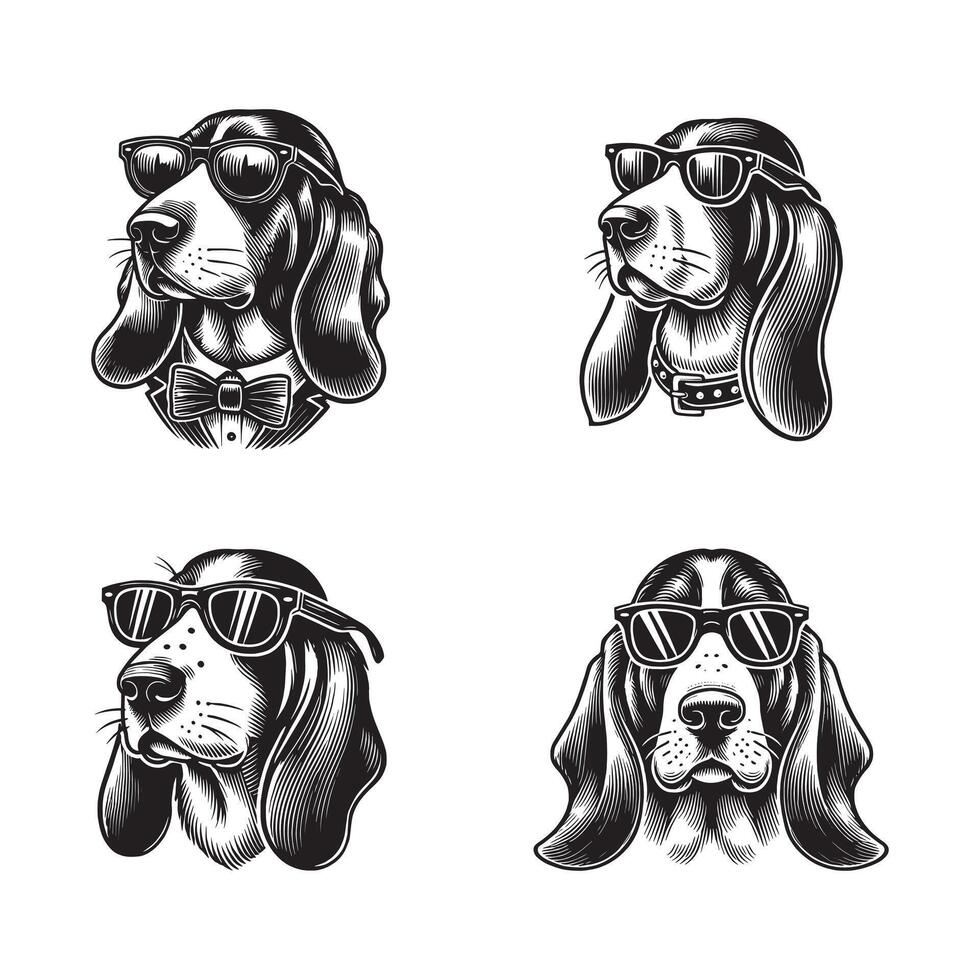 Basset Hound bundle Sunglass dog design vector