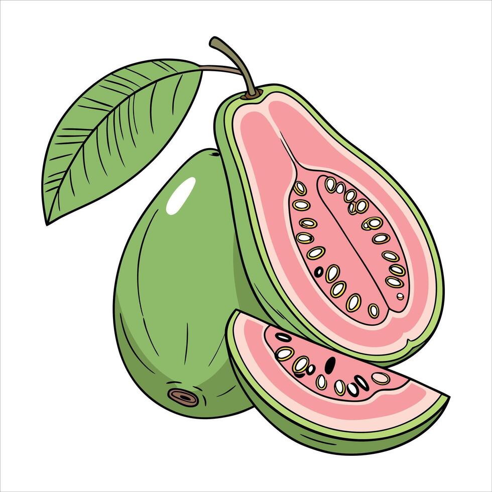 Image of fresh ripe guava fruit sliced in half Isolated image vector